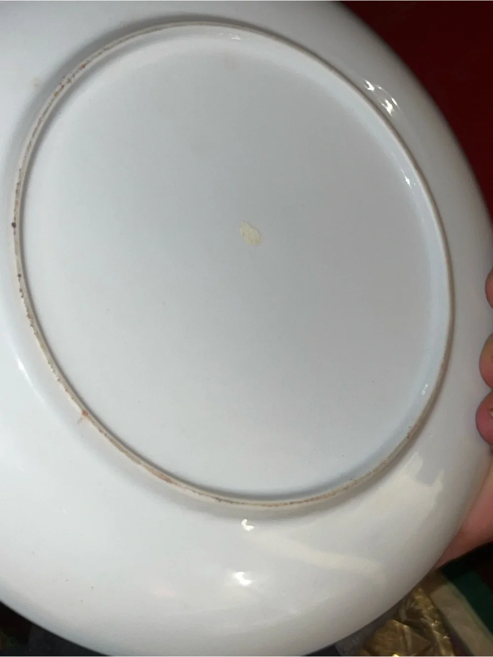 Beautiful Hand Painted Japanese 10” Gold Accented Porcelain Plate